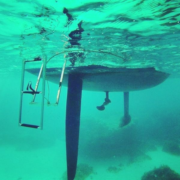 dominacharters's profile picture. 