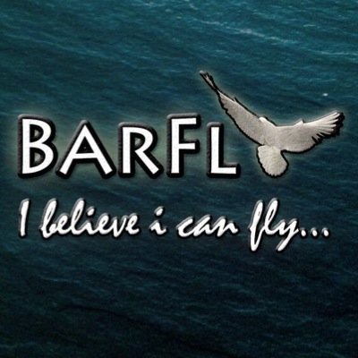 I believe I can fly
