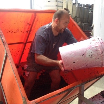 ScottWinemaking's profile picture. chasing savoury and textural wine varieties and styles