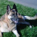 Andrew Farago - @AndrewFarago1 - Twitter