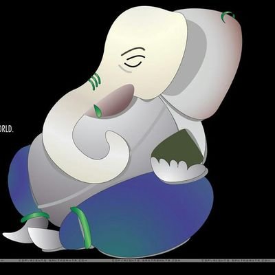 77c986334482481's profile picture. 