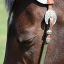 Jon Melvin - @jmelvinx - Twitter