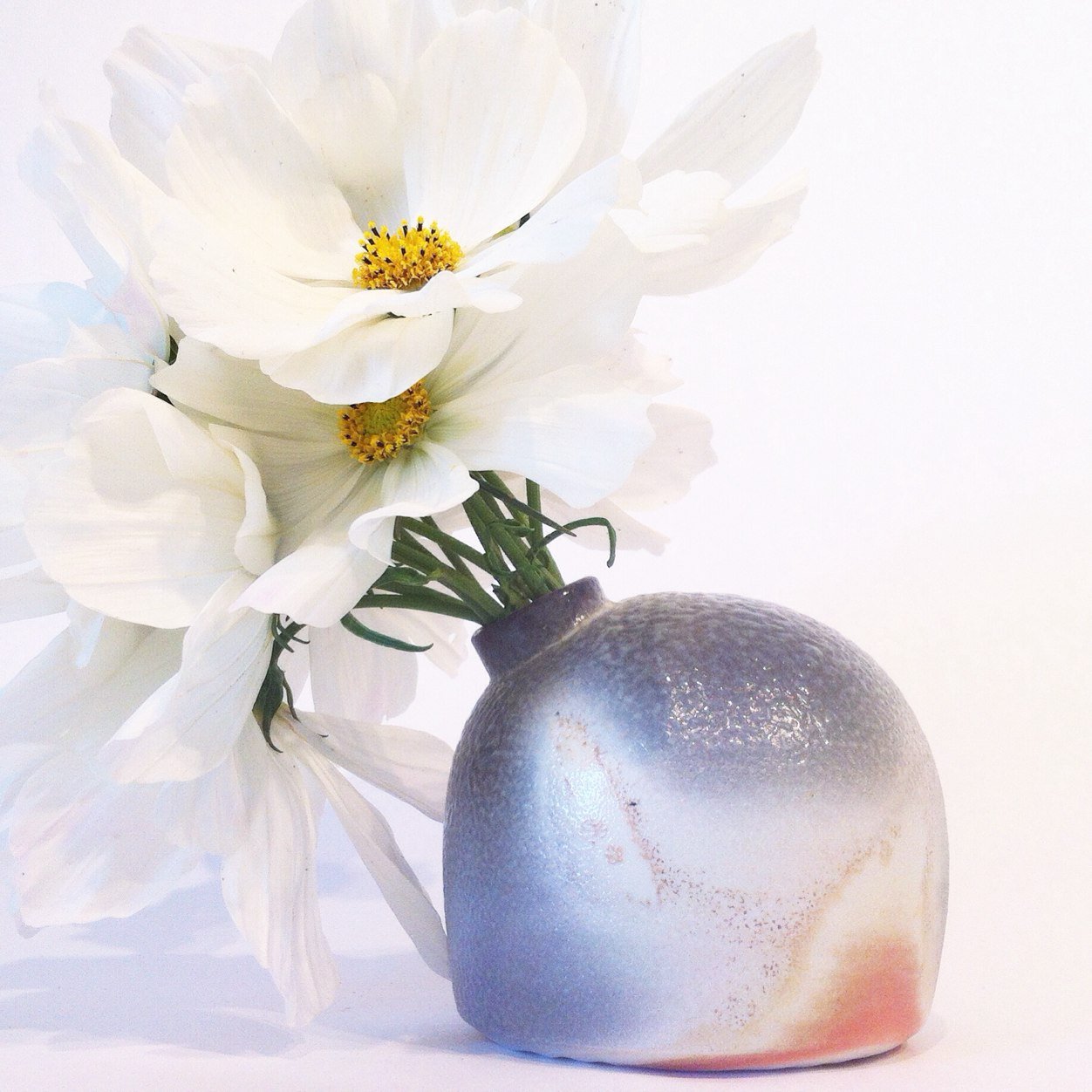 MarcelinaSalaz's profile picture. wood fired | soda-glazed | functional | porcelain