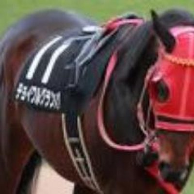 競走馬の名前bot Pouracashoysfxb Twitter