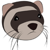 minifauna's profile picture. Blog de Mascotas. Pertecene a la red de blogs http://t.co/st0jUyCfRy