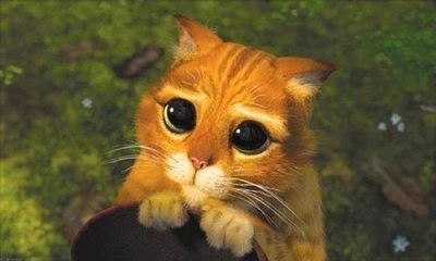 PierreGalets's profile picture. Spécialiste des jeux de mots et blagues en tout genre ! En partenariat avec Carambar #blague #BDM # VDM #jeuxdemots  Par les créateurs de #FinDuGame