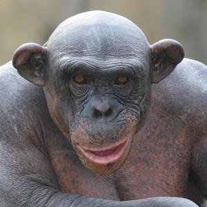 albealon_htz's profile picture. 