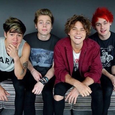 helping you get your 5sos follows! • access to 5/4 turn on our on notifs for DMs!
