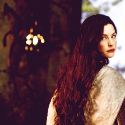 ~Lords of the ring~ |Undómiel| |Evenstar| •Half elf x Mortal. •|Inlove with no spouse| I would rather share one life time with you, than face all the ages alone