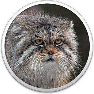 bnzn_qwazar avatar