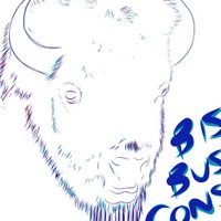 Bison Inc. (@bisonbc) 's Twitter Profile
