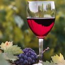 Robert Mondavi - @tubin_forman - Twitter