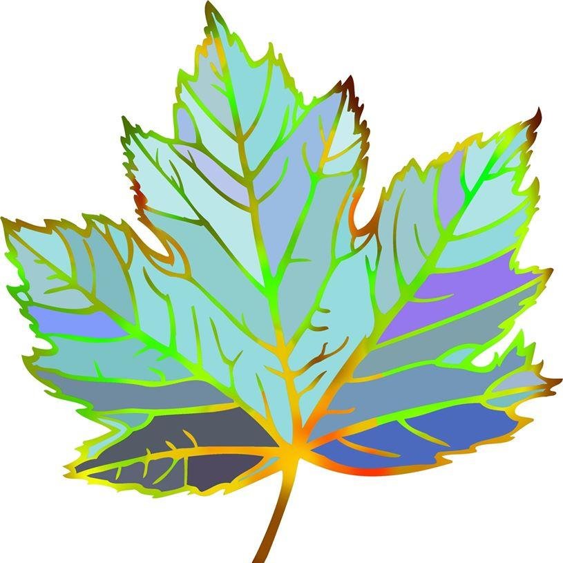 LearnOutside1's profile picture. Learning Outside provides children with experiences outdoors that enhance their current lives & learning and that instill a love of the natural world.