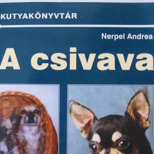 Csivavás Nerpel Andrea