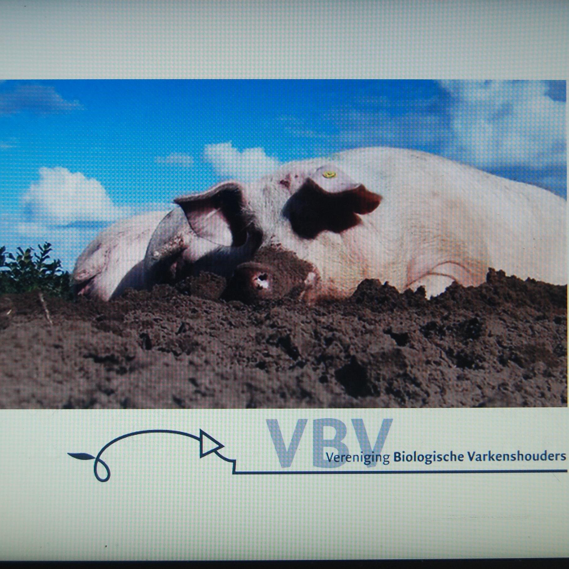 Vereniging van Biologische Varkenshouders