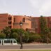 Facultat de Biologia (@biologia_ub) Twitter profile photo