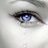 FollowBackNoeUF's profile image