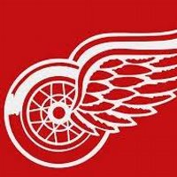 The Redwings Feed (@theredwingsfeed) Twitter profile photo