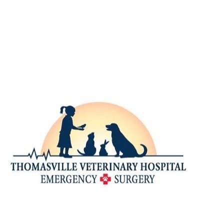 Thomasville Veterinary Hospital is a full service veterinary hospital located in Thomasville, NC offering 24 hour emergency critical care.