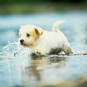 Chrissy Graham - @grahamgirly - Twitter