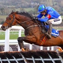 Offering free horse racing naps each day!