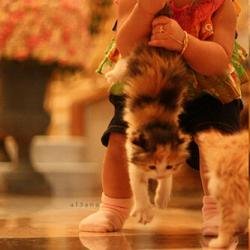 ♡ وبك نستعين♡