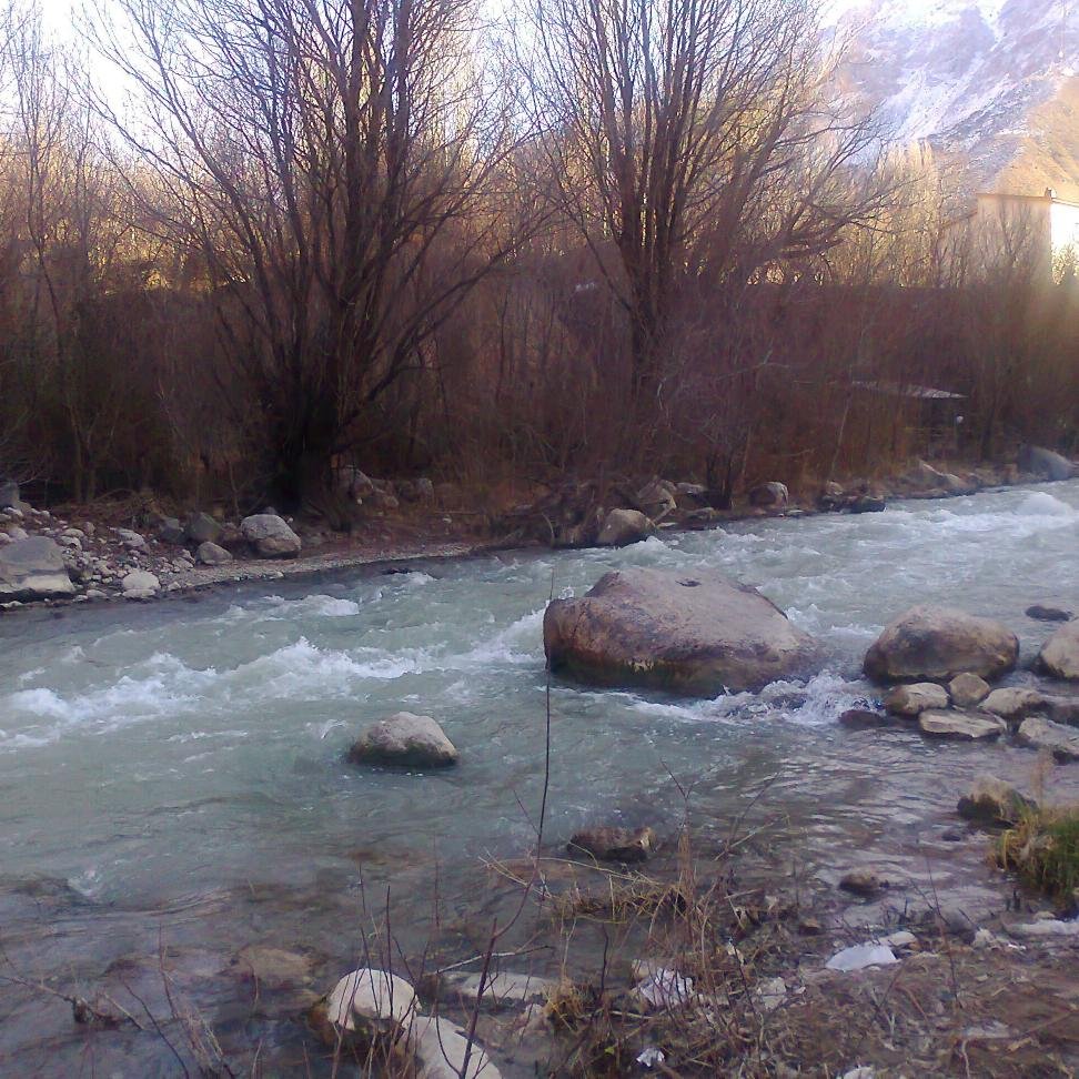 Mandanm1sayah1's profile picture. تنها