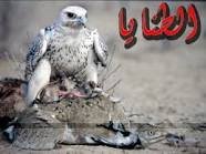 لتواصل عن طريق ps3. الأيدي / F_16_KSAoo. أو الأيدي الثاني F_16_MEBO اتمنى أن تضيفوني
