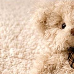 ペット用サプリメント情報をツイートします。