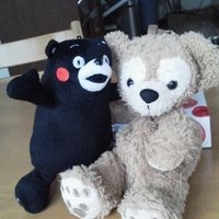 ぎゅうまま (@gyumiki) 's Twitter Profile