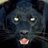 chungodaw's profile image