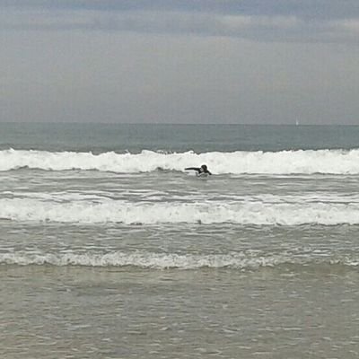 surf , amante de los animales , auryn y soy pastelita 100%