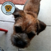 Bramble BT (@bramblebt) Twitter profile photo Bramble BT (@bramblebt) Twitter profile photo