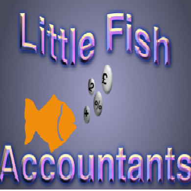 Our aim at Little Fish Accountants is to offer affordable, friendly accountancy and business management services to all small and medium sized businesses.