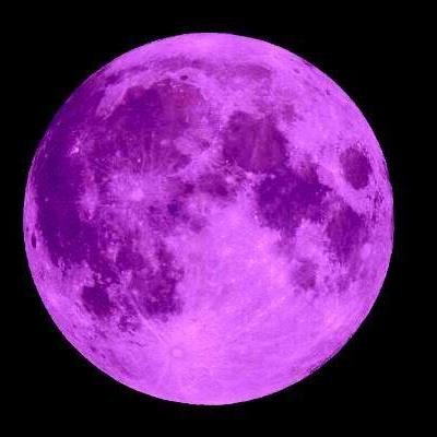 DOLLSROCKK's profile picture. 