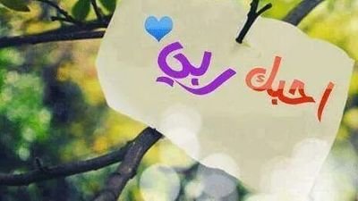 alqaza_amal's profile picture. اللهم انت وليي في الدنيا والاخرة توفني مسلمة والحقني بالصالحين