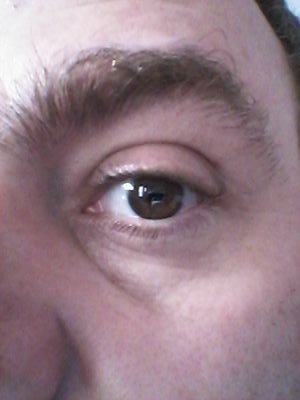 paulomerino's profile picture. 