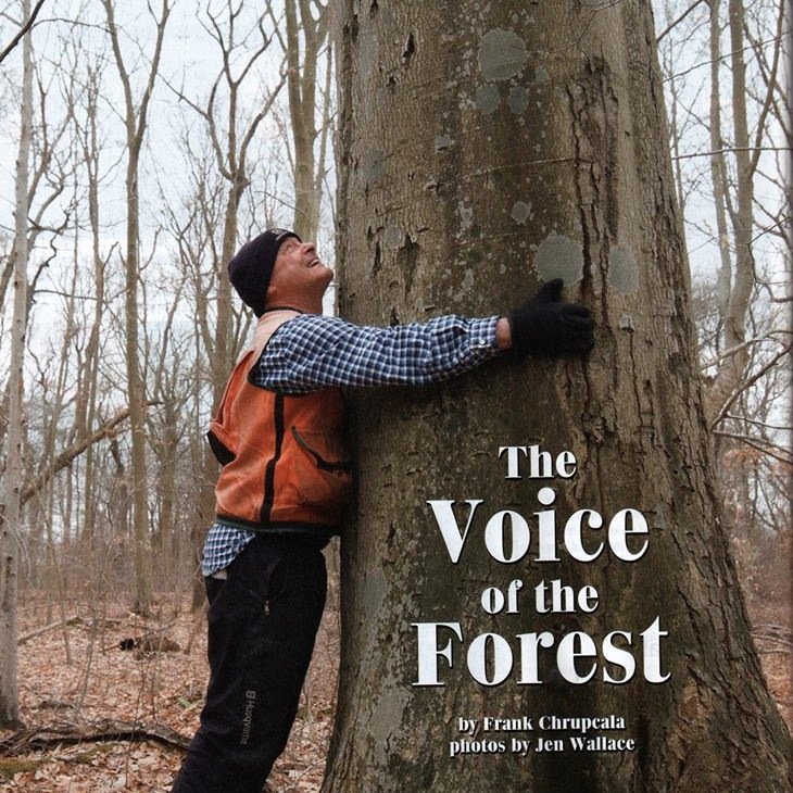 largessforestry's profile picture. 