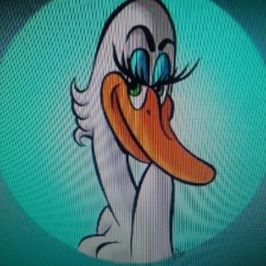 lucyofthegoose's profile picture. 