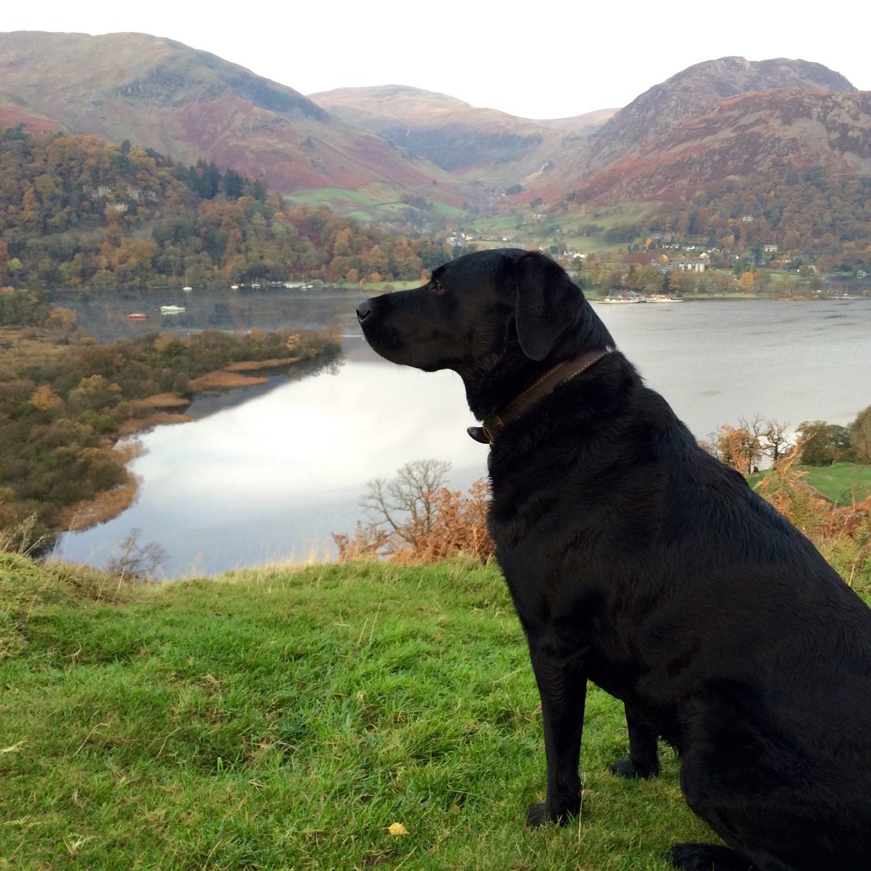 GavinDMills's profile picture. I work with Microscopes, play with cameras and the bass guitar whilst maintaining an unhealthy love, some would say obsession, for curry and cheese.