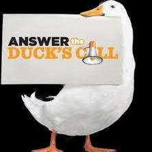 We've got you under our wing