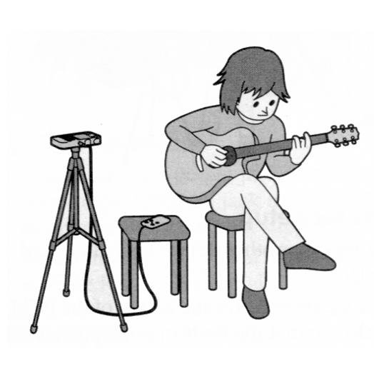 Artist / Filmmaker