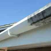 GUTTER CLEANING

WINDOW CLEANING

ROOF CLEANING

PATIO & DRIVEWAY CLEANING

CARPET CLEANING

PLASTERING/RENDERING SERVICE