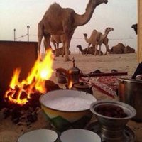 الرايق (@dy1370) 's Twitter Profile