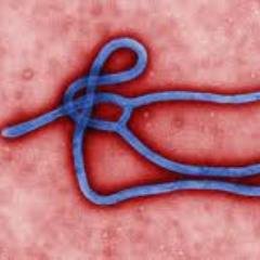 Ebola News & Views is fed by Madeleine Decker https://t.co/K8HYs4U9mZ