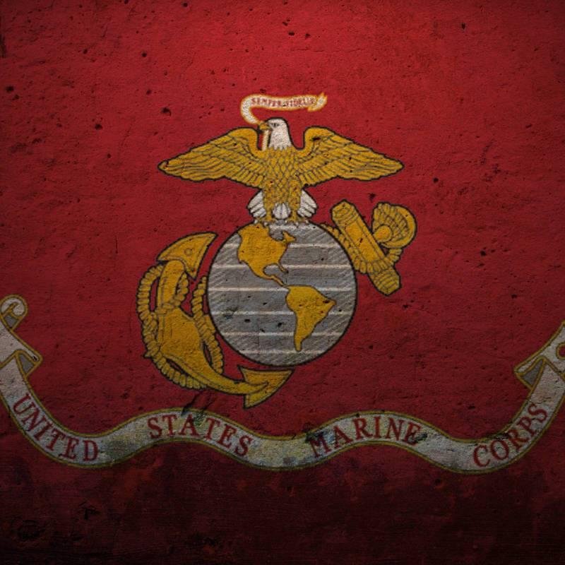 Former Marine. System Architect.