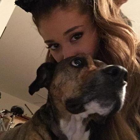 FollomMeAll200's profile picture. Hello!I Arianator a couple of years and I love @ArianaGrande.I'm proud that I Arianator...Thanks Ariana for great songs and videos ♡    THANKS U ♥