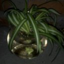 Sandy Mora :) - @SandyMordVaz - Twitter