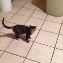 bertina rodgers - @RacheBertina - Twitter