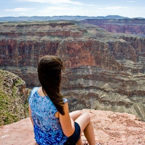 VLShelly's profile picture. 